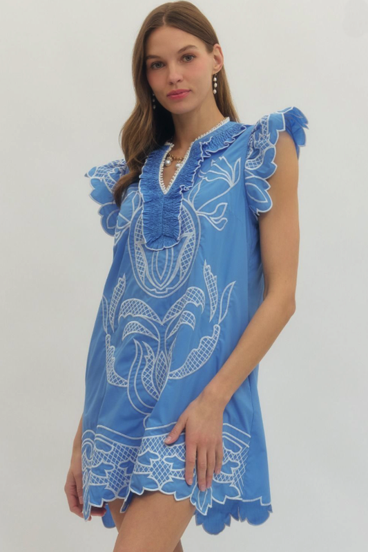 Light Blue Embroidered Flutter Sleeve Mini Dress from Southern Sunday Boutique in Naples, FL